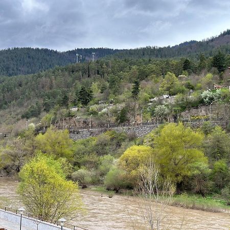 Vitali Apartment Borjomi Bagian luar foto