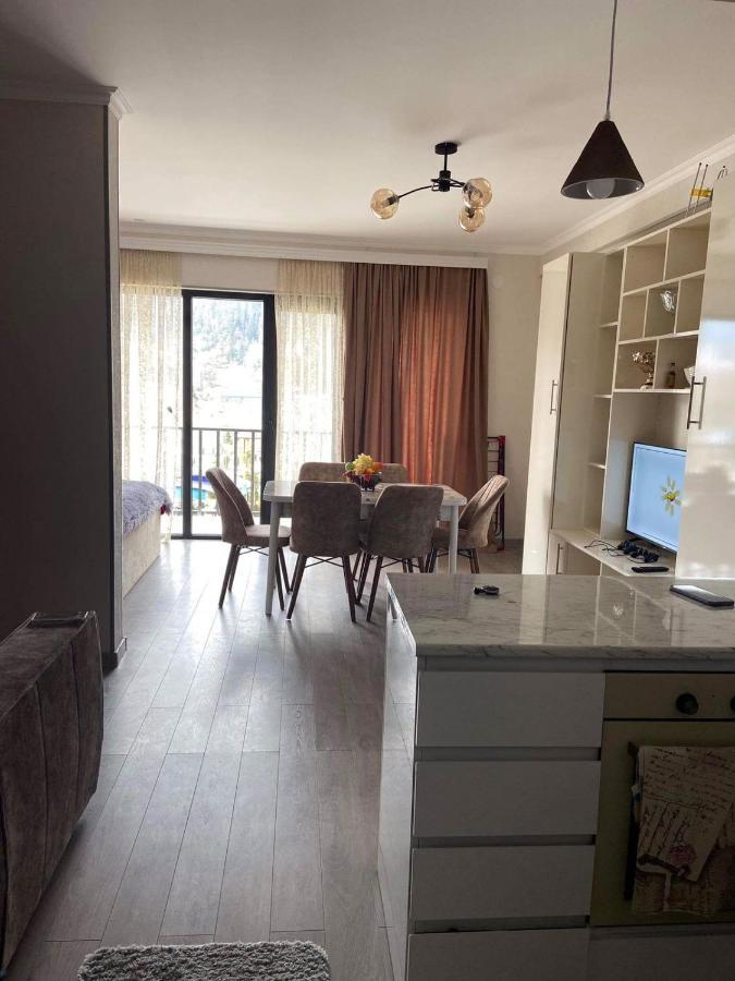 Vitali Apartment Borjomi Bagian luar foto