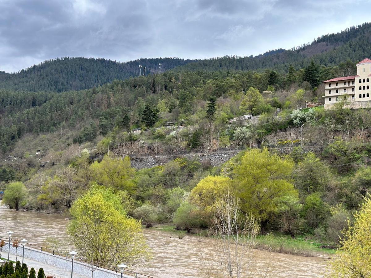 Vitali Apartment Borjomi Bagian luar foto