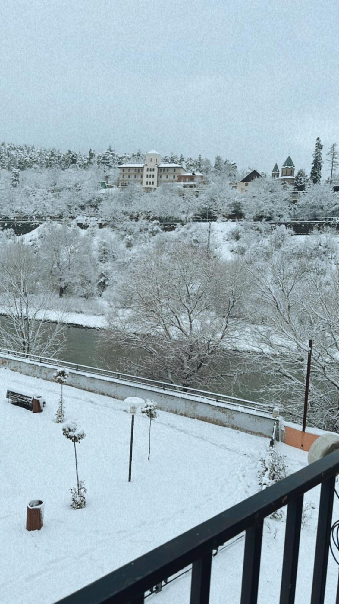 Vitali Apartment Borjomi Bagian luar foto